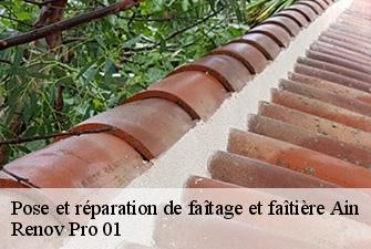Pose et réparation de faîtage et faîtière 01 Ain  Renov Pro 01