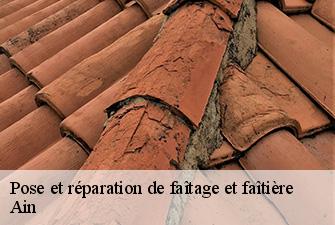 Pose et réparation de faîtage et faîtière 01 Ain  Renov Pro 01