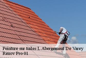 Peinture sur tuiles  l-abergement-de-varey-01640 Renov Pro 01