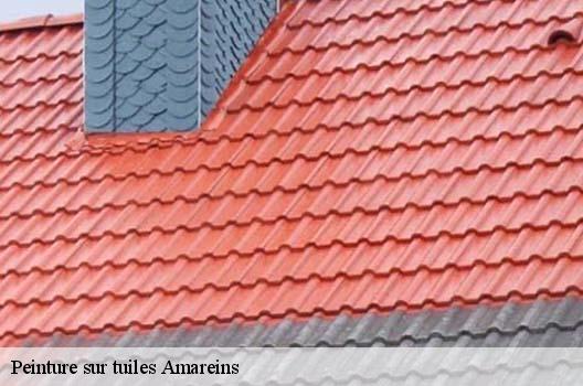 Peinture sur tuiles  amareins-01090 