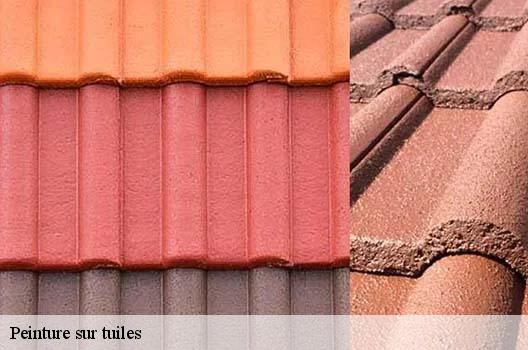 Peinture sur tuiles  amareins-01090 