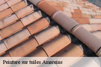 Peinture sur tuiles  amareins-01090 