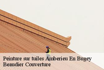 Peinture sur tuiles  amberieu-en-bugey-01500 Beaudier Couverture 
