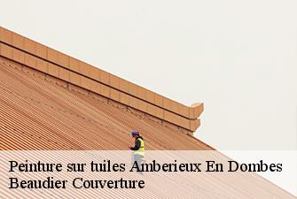 Peinture sur tuiles  amberieux-en-dombes-01330 Beaudier Couverture 