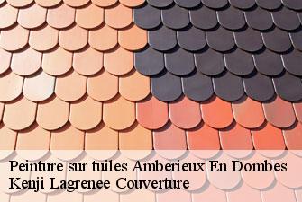 Peinture sur tuiles  amberieux-en-dombes-01330 Kenji Lagrenee Couverture