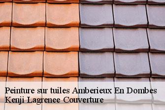 Peinture sur tuiles  amberieux-en-dombes-01330 Kenji Lagrenee Couverture