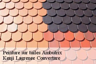 Peinture sur tuiles ambutrix-01500 Kenji Lagrenee Couverture