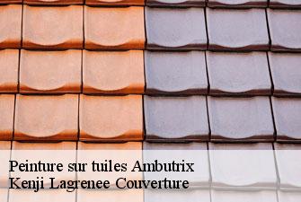 Peinture sur tuiles ambutrix-01500 Kenji Lagrenee Couverture