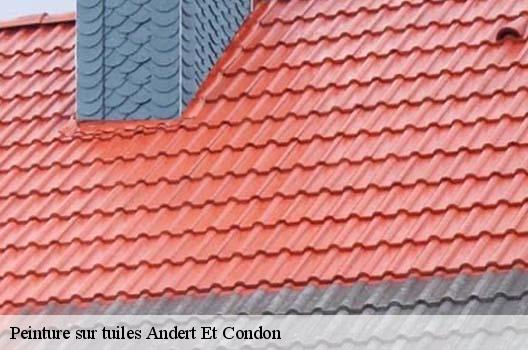 Peinture sur tuiles  andert-et-condon-01300 