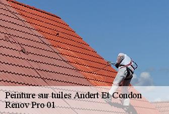 Peinture sur tuiles  andert-et-condon-01300 Renov Pro 01