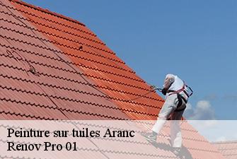 Peinture sur tuiles  aranc-01110 Renov Pro 01