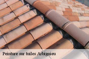 Peinture sur tuiles  arbignieu-01300 