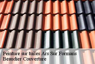 Peinture sur tuiles  ars-sur-formans-01480 Beaudier Couverture 