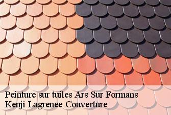 Peinture sur tuiles  ars-sur-formans-01480 Kenji Lagrenee Couverture
