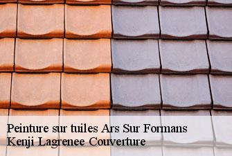 Peinture sur tuiles  ars-sur-formans-01480 Kenji Lagrenee Couverture