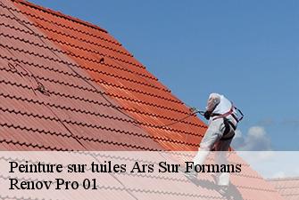 Peinture sur tuiles  ars-sur-formans-01480 Renov Pro 01