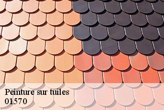 Peinture sur tuiles  asnieres-sur-saone-01570 Beaudier Couverture 