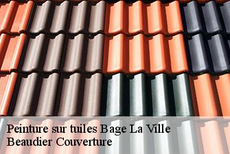 Peinture sur tuiles  bage-la-ville-01380 Beaudier Couverture 