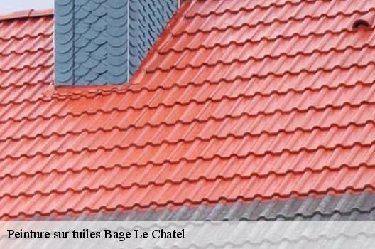 Peinture sur tuiles  bage-le-chatel-01380 