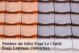 Peinture sur tuiles bage-le-chatel-01380 Kenji Lagrenee Couverture