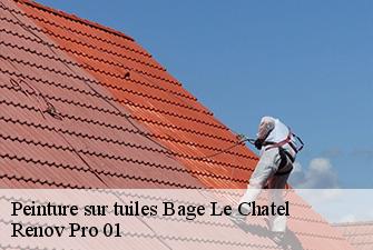 Peinture sur tuiles  bage-le-chatel-01380 Renov Pro 01