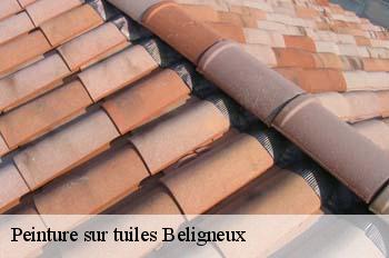 Peinture sur tuiles  beligneux-01360 