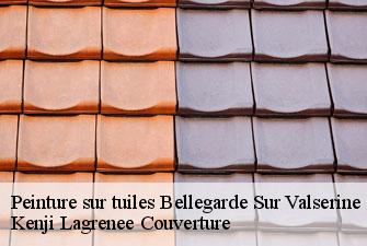 Peinture sur tuiles  bellegarde-sur-valserine-01200 Kenji Lagrenee Couverture