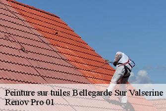 Peinture sur tuiles  bellegarde-sur-valserine-01200 Renov Pro 01