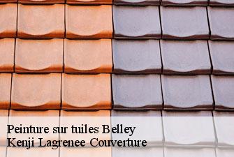 Peinture sur tuiles  belley-01300 Kenji Lagrenee Couverture