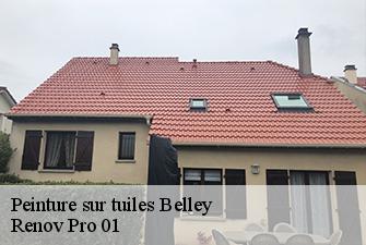Peinture sur tuiles  belley-01300 Renov Pro 01