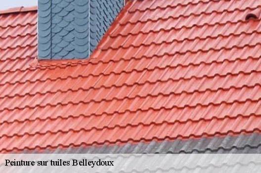 Peinture sur tuiles  belleydoux-01130 