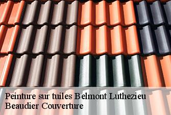 Peinture sur tuiles  belmont-luthezieu-01260 Beaudier Couverture 