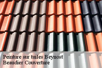 Peinture sur tuiles  beynost-01700 Beaudier Couverture 