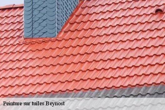 Peinture sur tuiles  beynost-01700 