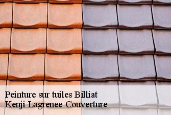Peinture sur tuiles  billiat-01200 Kenji Lagrenee Couverture