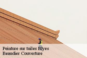 Peinture sur tuiles  blyes-01150 Beaudier Couverture 