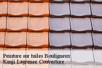 Peinture sur tuiles bouligneux-01330 Kenji Lagrenee Couverture