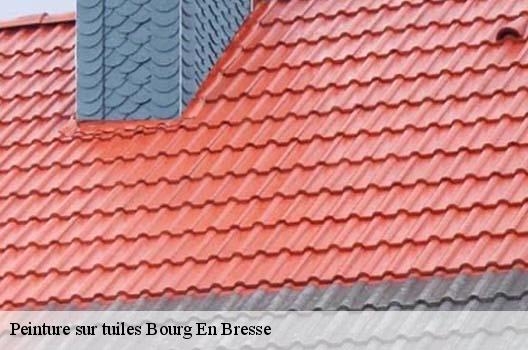 Peinture sur tuiles  bourg-en-bresse-01000 