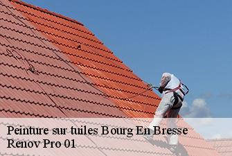 Peinture sur tuiles  bourg-en-bresse-01000 Renov Pro 01