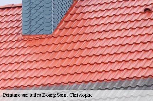 Peinture sur tuiles  bourg-saint-christophe-01800 
