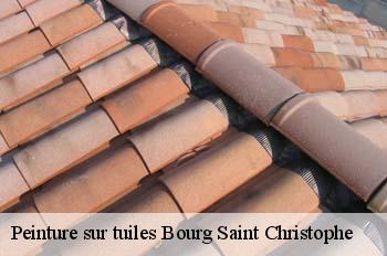 Peinture sur tuiles  bourg-saint-christophe-01800 