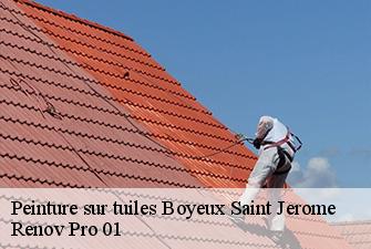 Peinture sur tuiles  boyeux-saint-jerome-01640 Renov Pro 01