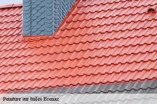 Peinture sur tuiles  brenaz-01260 