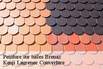 Peinture sur tuiles brenaz-01260 Kenji Lagrenee Couverture