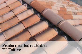 Peinture sur tuiles  buellas-01310 