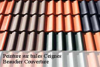 Peinture sur tuiles  ceignes-01430 Beaudier Couverture 