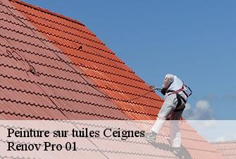 Peinture sur tuiles  ceignes-01430 Renov Pro 01