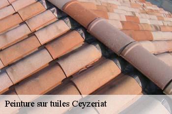 Peinture sur tuiles  ceyzeriat-01250 