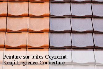 Peinture sur tuiles ceyzeriat-01250 Kenji Lagrenee Couverture
