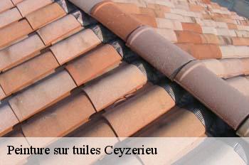 Peinture sur tuiles  ceyzerieu-01350 